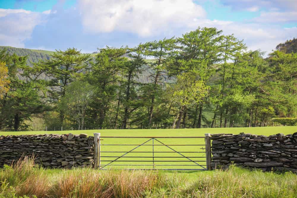 A field gate in a stone wall on green farmland