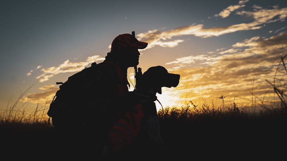 Silhouette of a hunter and a dog in a field at sunset