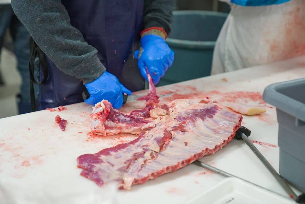Gloved hands processing meat on a cutting board