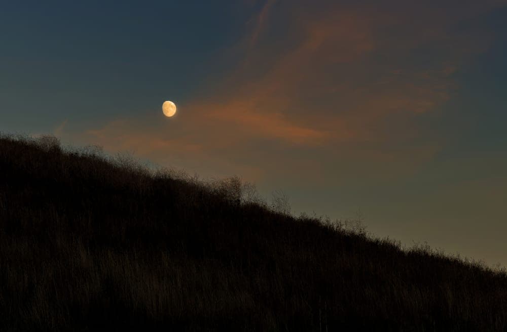 The moon over an open field at dusk