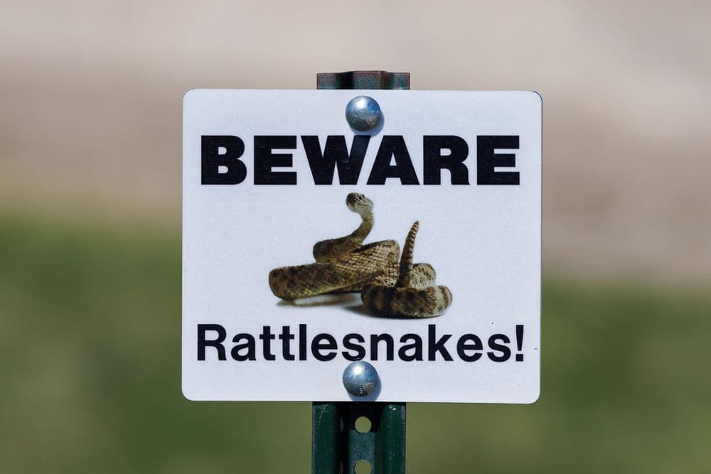 A sign warning of rattlesnakes in a grassy area