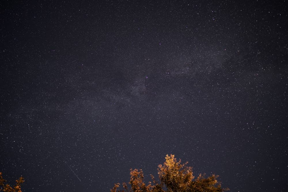 The Milky Way over silhouetted treetops