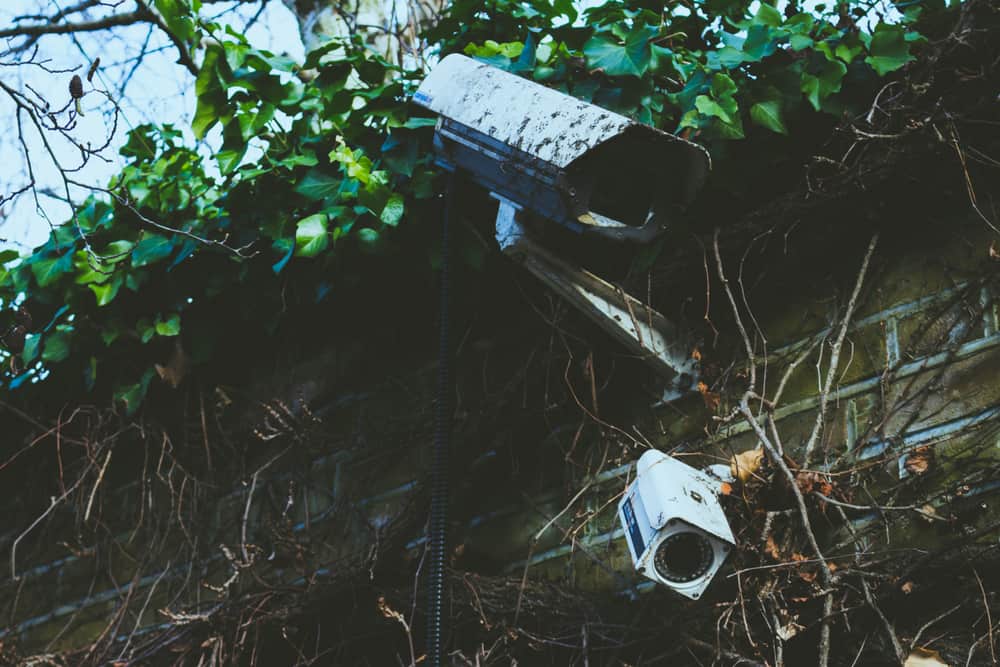 Outdoor surveillance cameras mounted on a brick wall