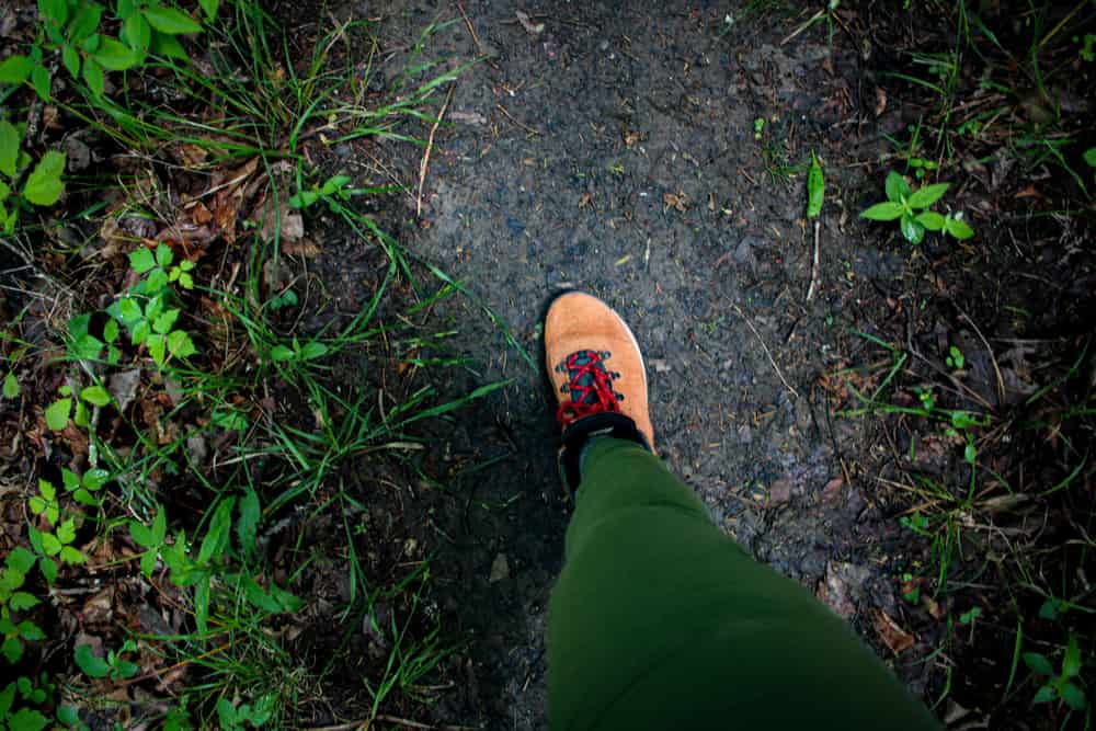 A hiking boot on a dirt trail in green brush