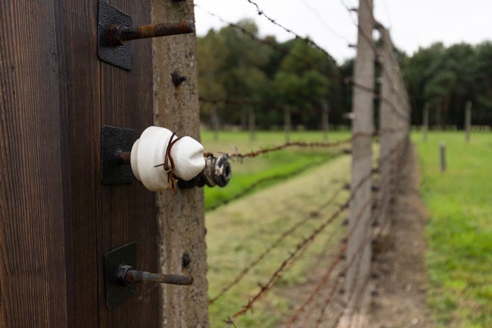 An insulator on a wire fence at a wooden post in a green field