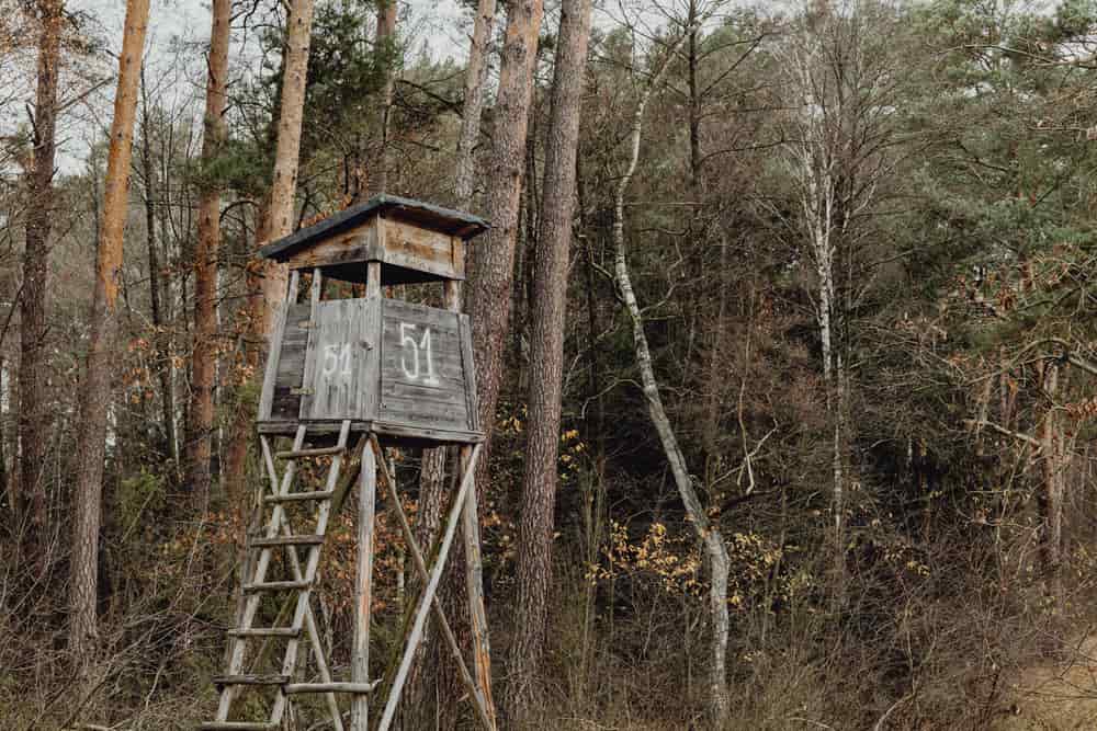 A wooden elevated stand in a forest in fall