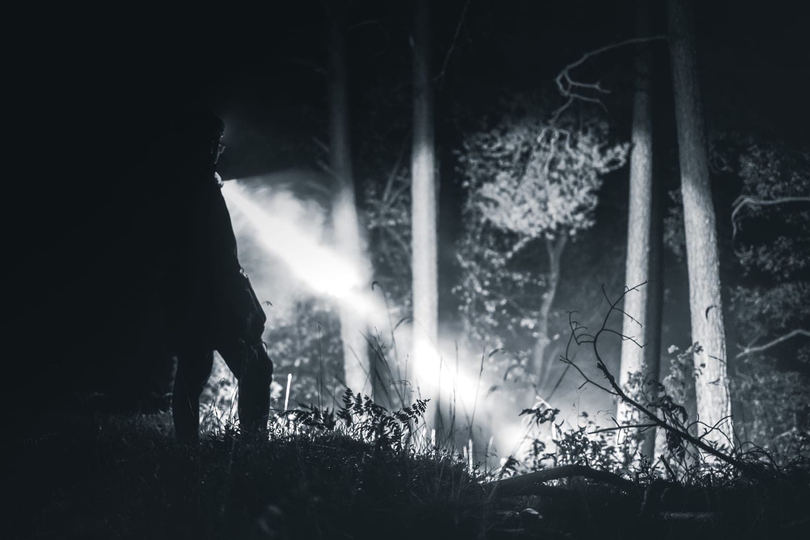 A person shining a flashlight beam into a dark forest